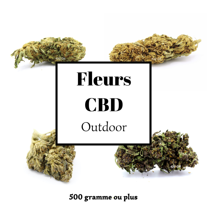 CBD Flowers Outdoor Wholesale 420 Green Road