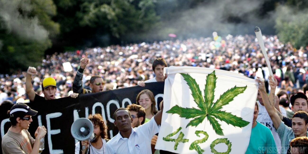 Actualités CBD France : 420 la véritable histoire : origine & signification 3 CBD | Sativa | CBD Francec | What does 420 mean Sensi Seeds